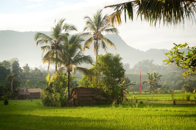 Onde Ficar Em Bali Guia Das Melhores Regi Es E Dicas