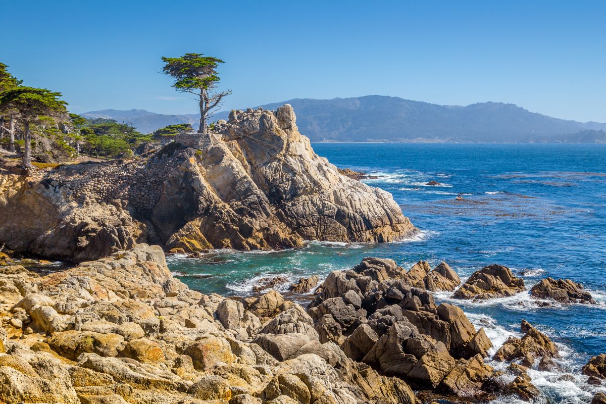 Cipreste Solitário na 17-Mile Drive