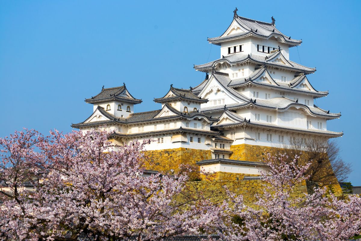 Castelo de Himeji com cerejeiras ao redor