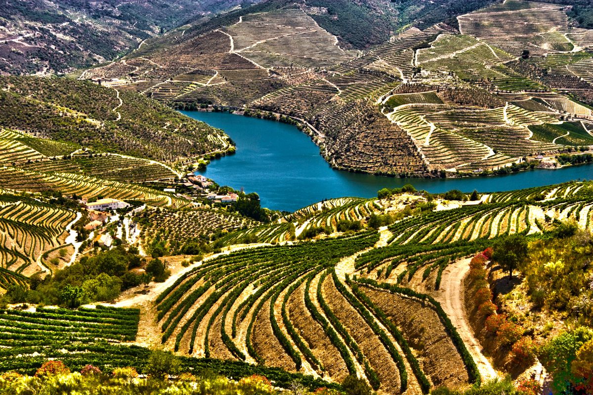 Panorama da região do Douro, em Portugal