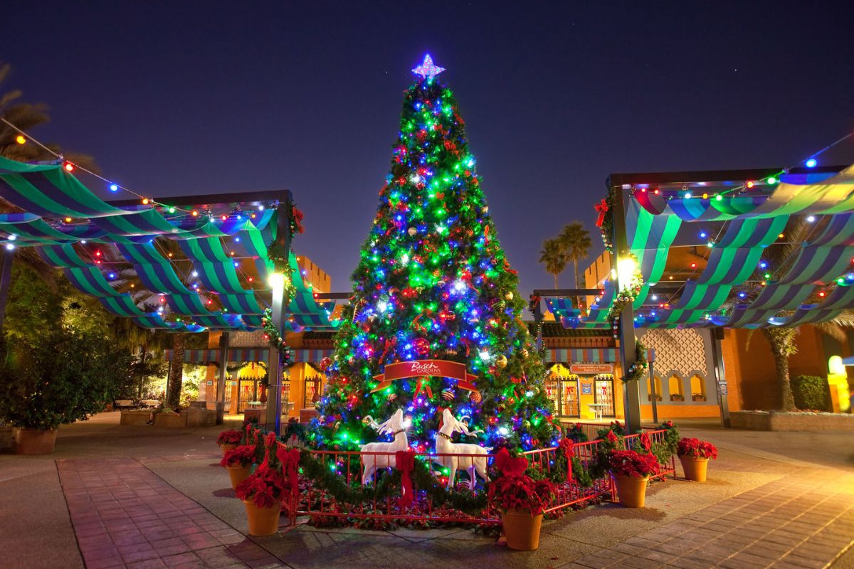 Decoração de Natal do Busch Gardens Tampa