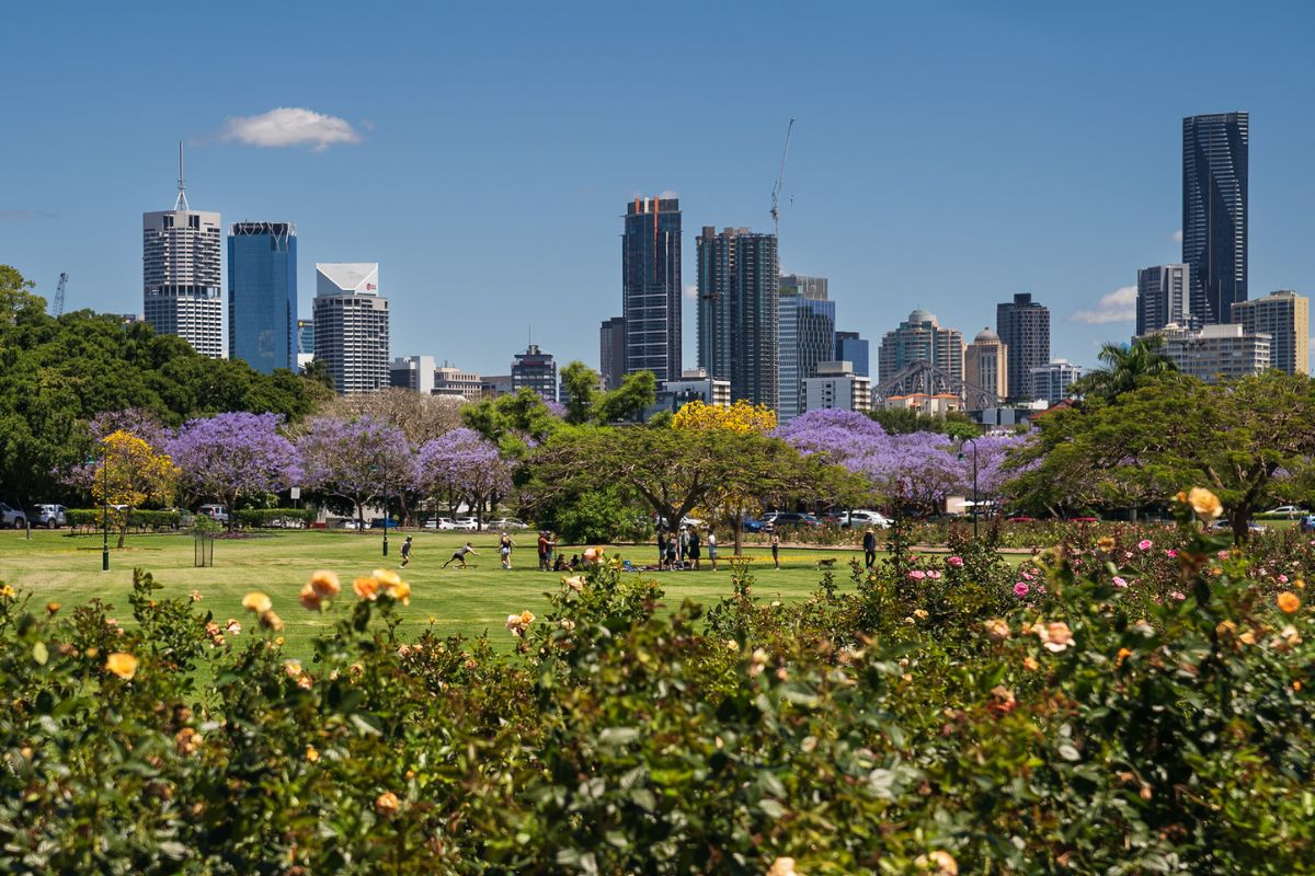 New Farm Park, Brisbane, com centro da cidade ao fundo