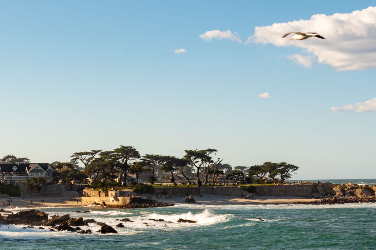 Orla da praia de Pacific Grove, na Califórnia