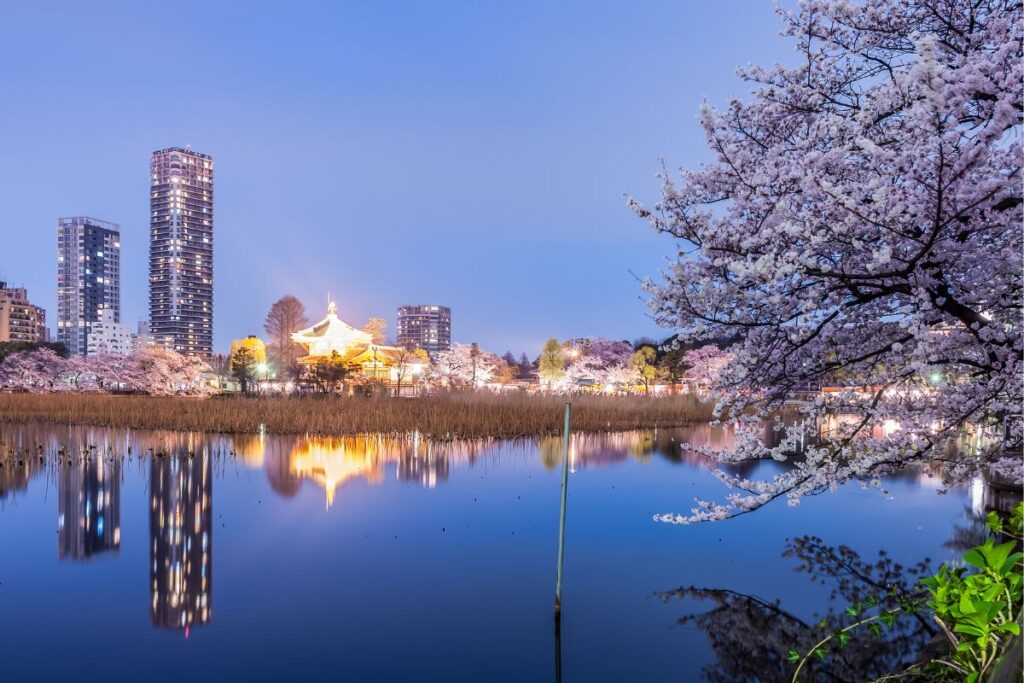 Vista noturna do Parque Ueno durante e florada de cerejeiras Tokyo