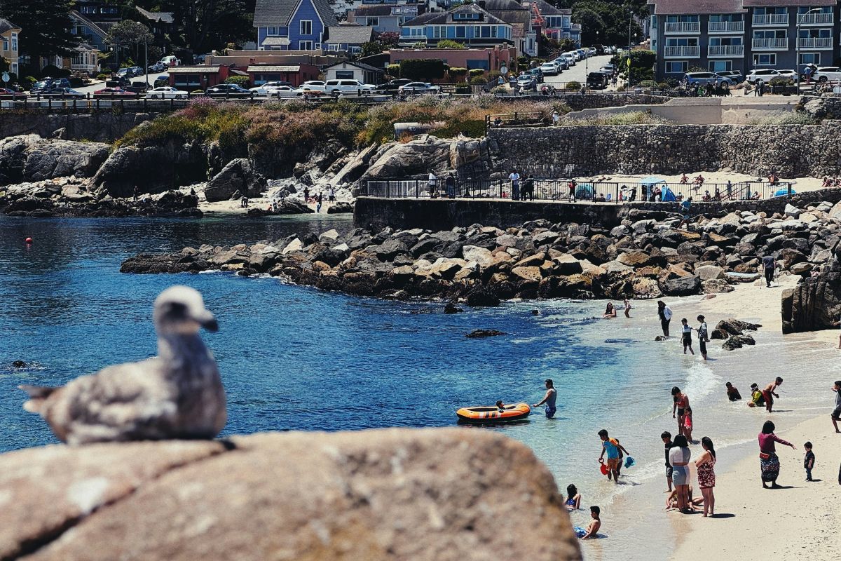 Banhistas em praia de Monterey, na Califórnia