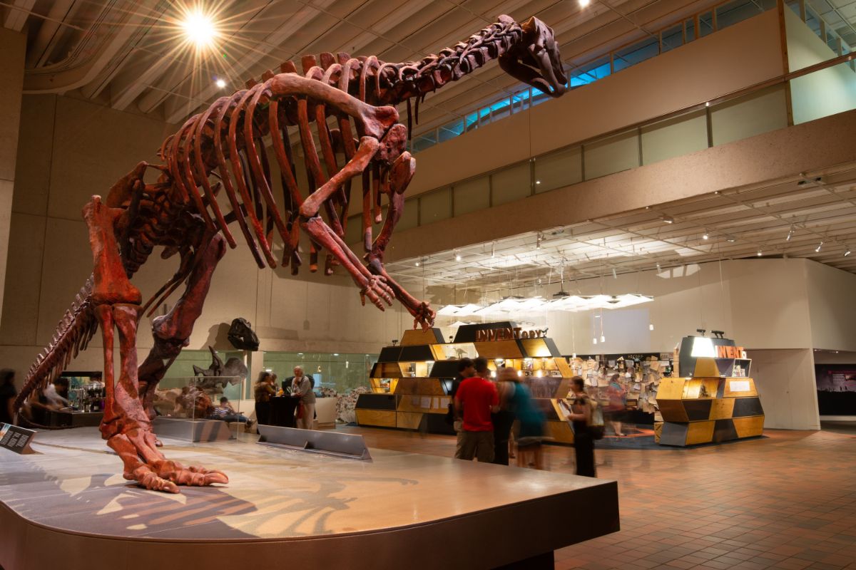 Esqueleto de dinossauro exposto no Queensland Museum & Science Centre