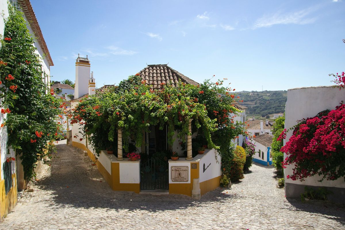 Fachada de casa de Óbidos com muitas plantas